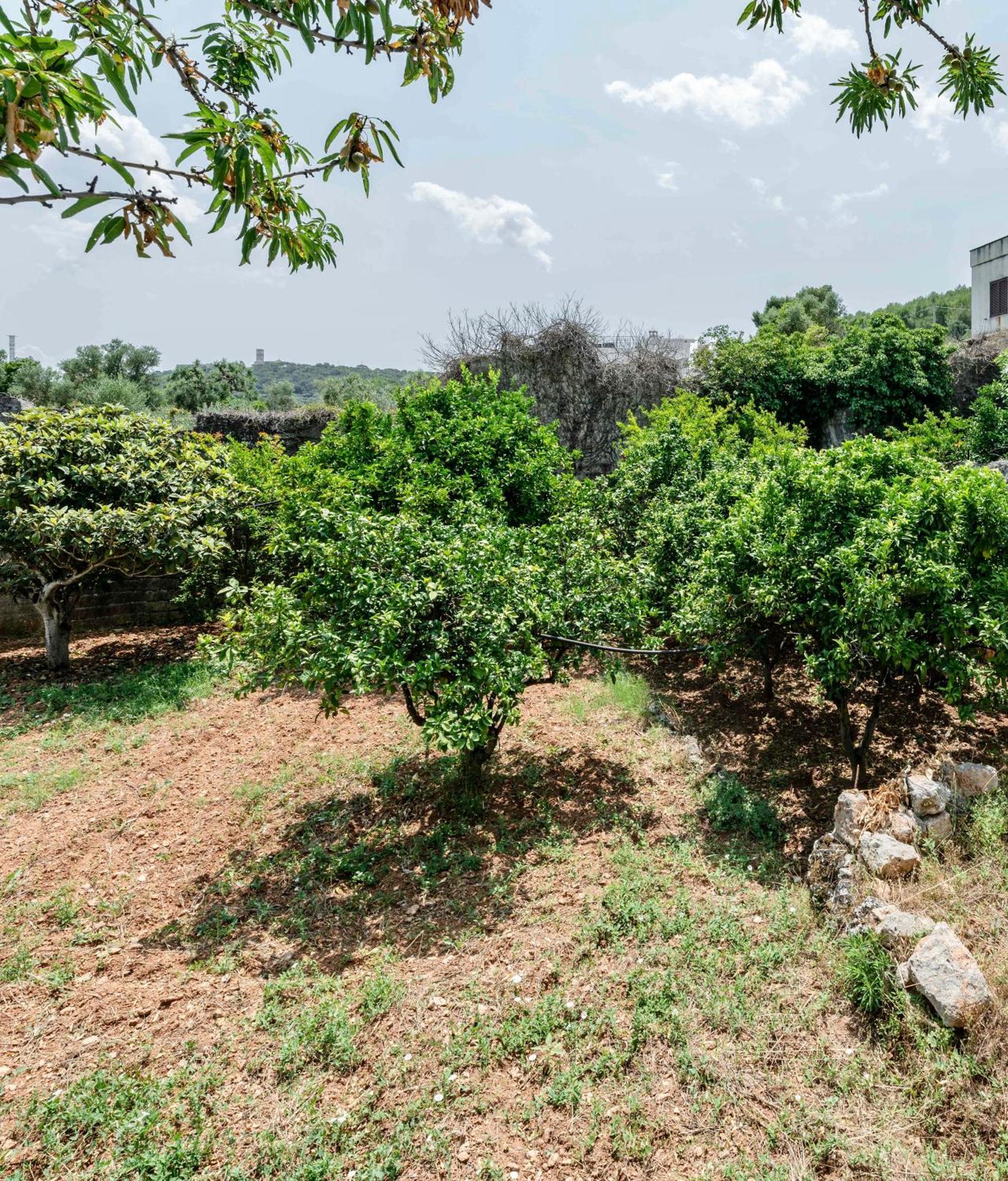 Il Giardino Apartment Ostuni Luaran gambar